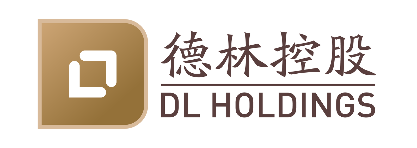DL Holdings