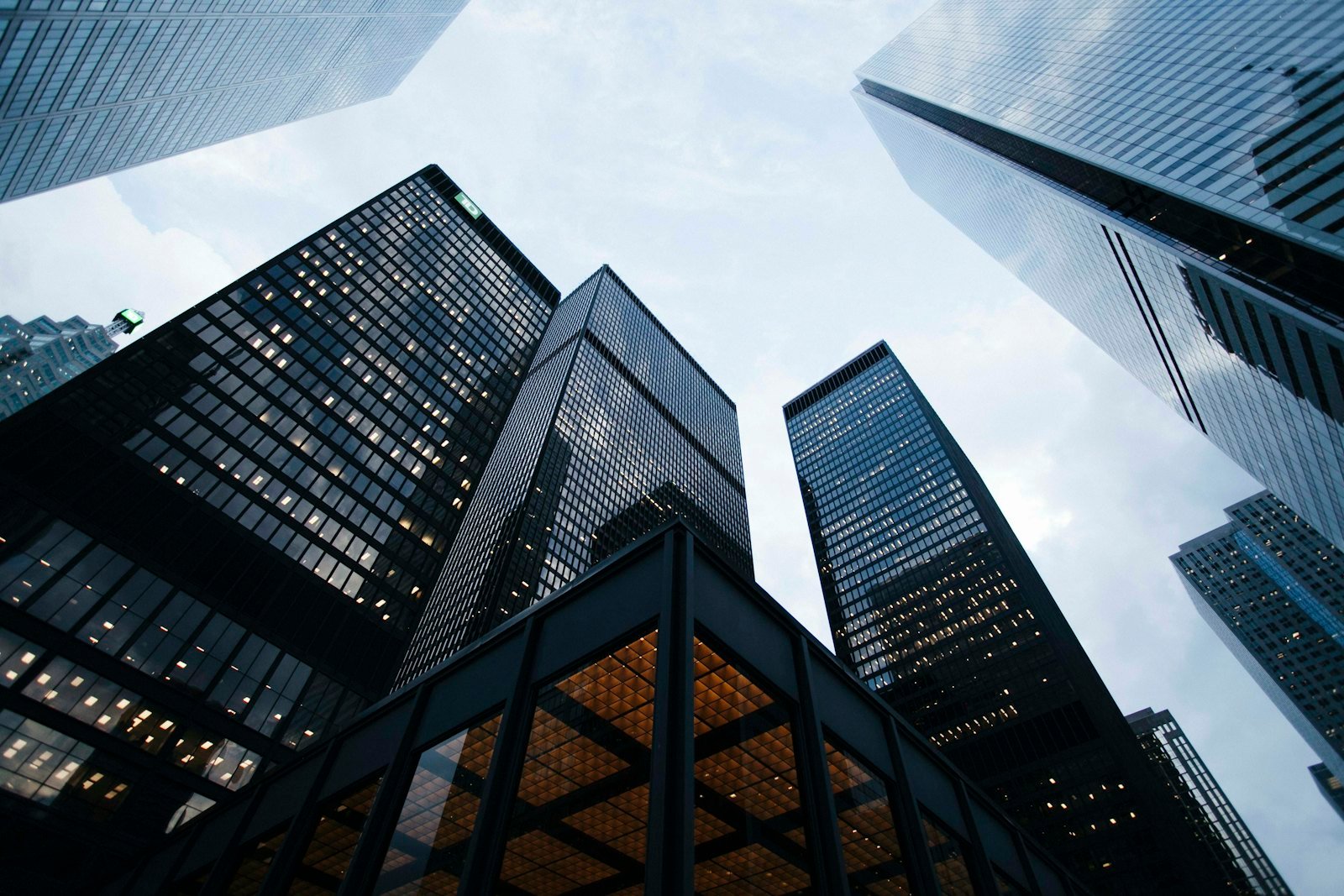 Trade & Capital